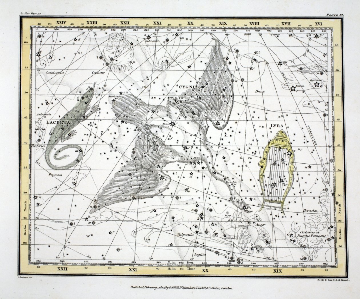 Las Constelaciones (Placa XI) Cygnus, Lacerta y Vía Láctea, de 
