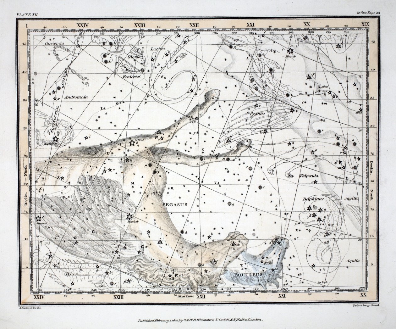 Las Constelaciones (Placa XII) Pegaso y Equuleus, de 
