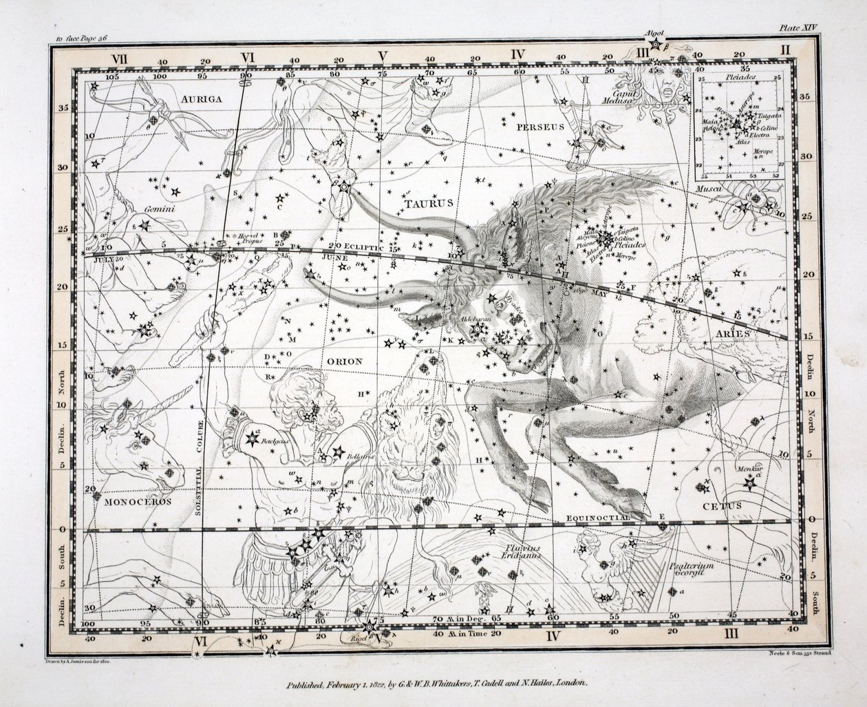 Las constelaciones (Placa XIV) Tauro, de 