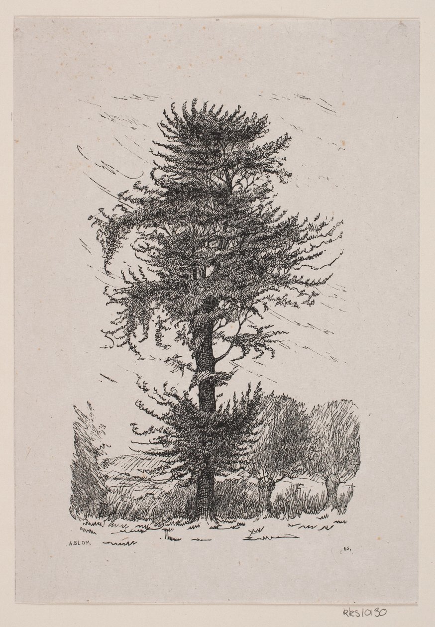 Roble en Guldberg de Alexander Blom