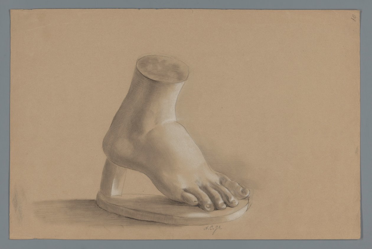 Modelo de yeso de un pie de Alexander Cranendoncq
