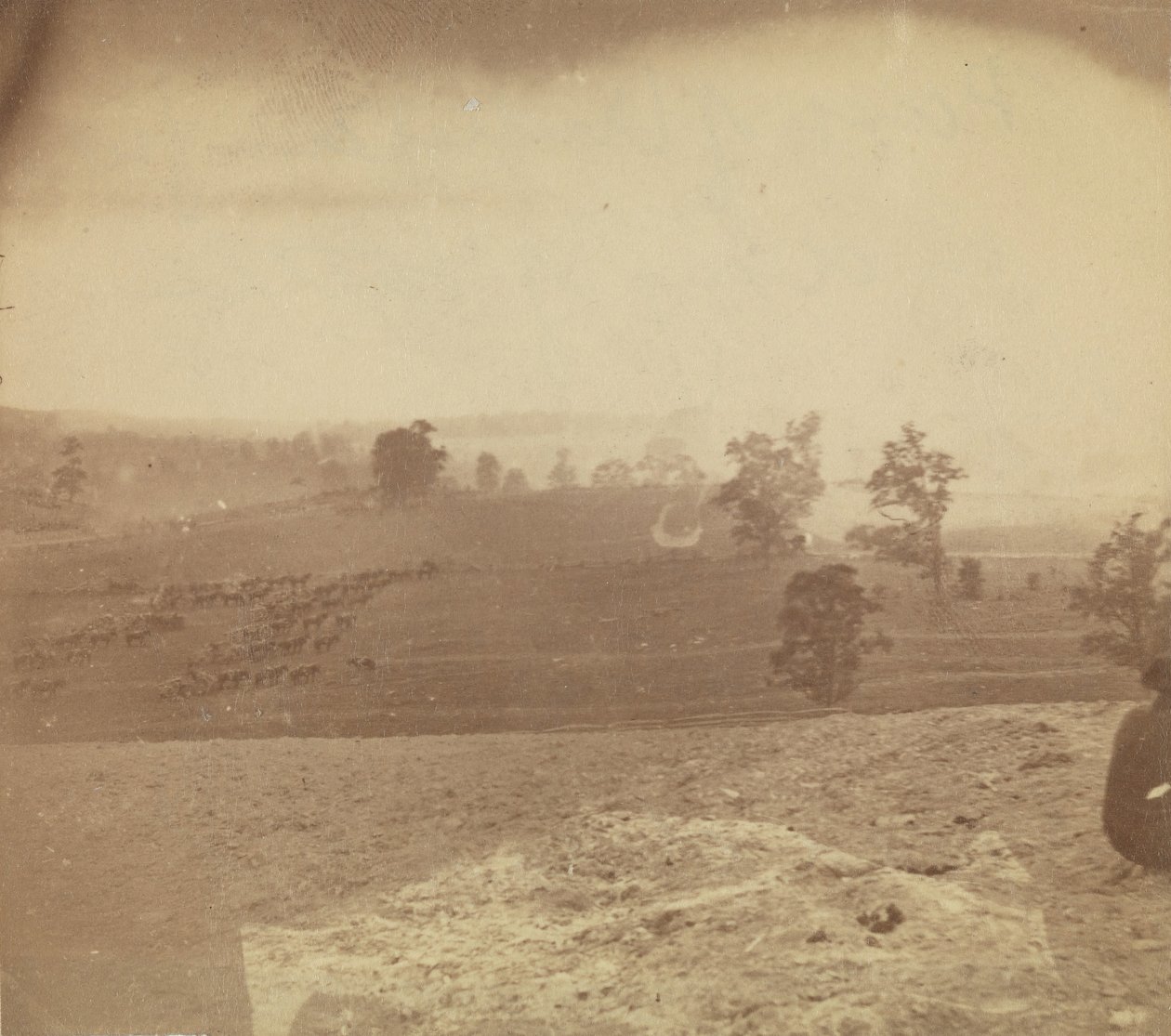 [Campo de batalla de Antietam], 1862 de Alexander Gardner