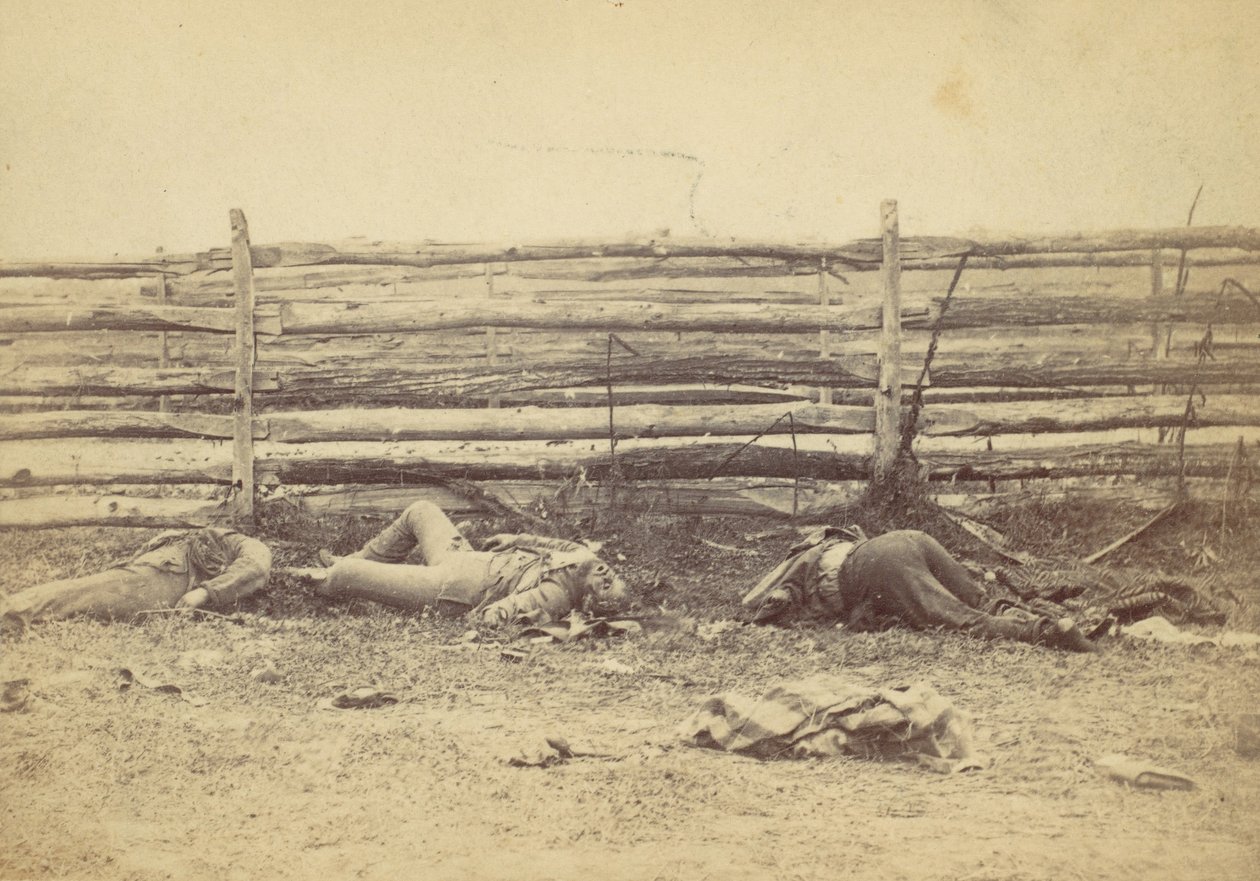 Vista en el Campo, en el Lado Oeste del Camino de Hagerstown, Después de la Batalla de Antietam, ..., 1862 de Alexander Gardner