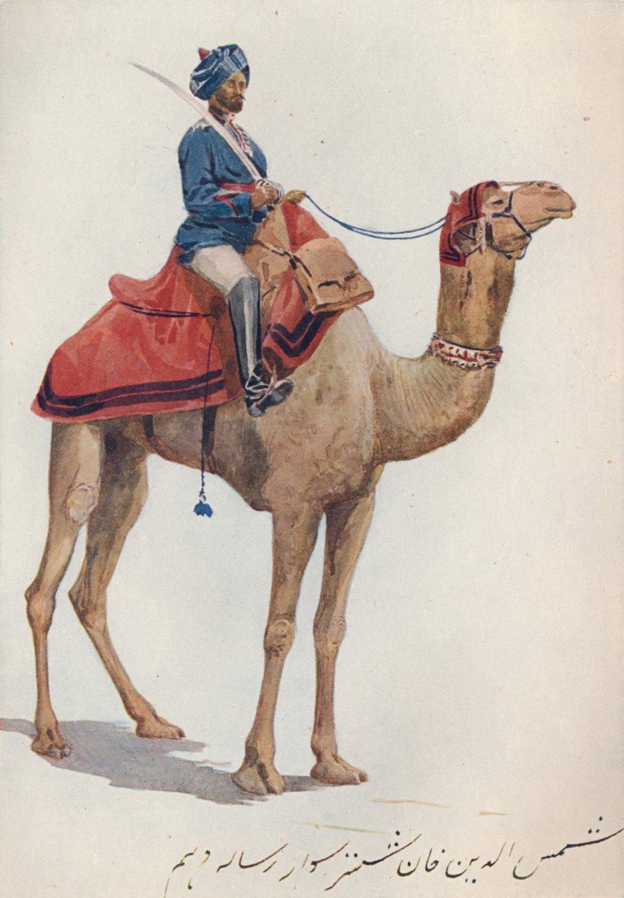 Un Camel-Sowar de los 10º Lanceros de Bengala, c1880 1905 de Alexander Henry Hallam Murray