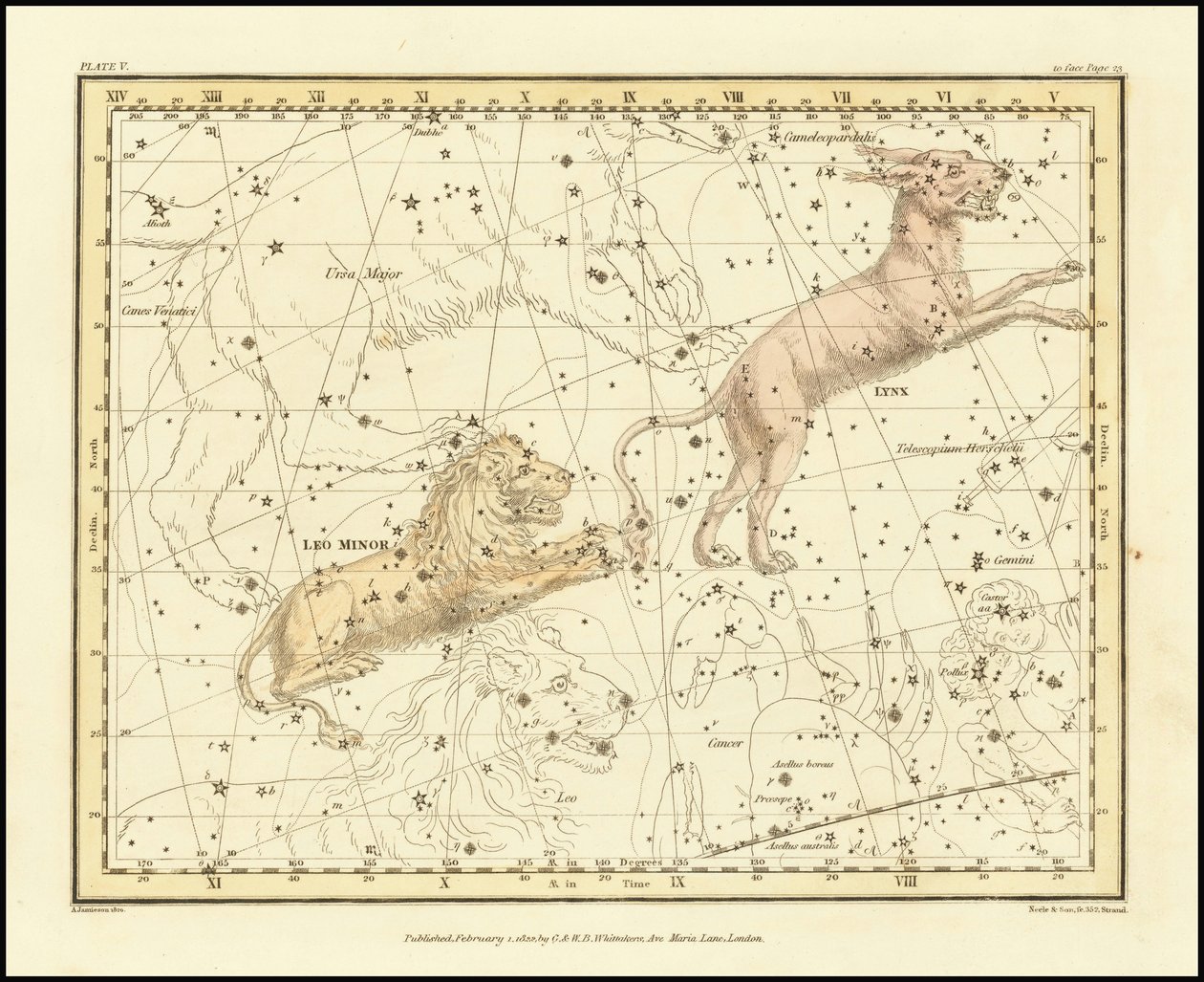 1822 - Alexander Jamieson - Lince y Leo Minor de Alexander Jamieson