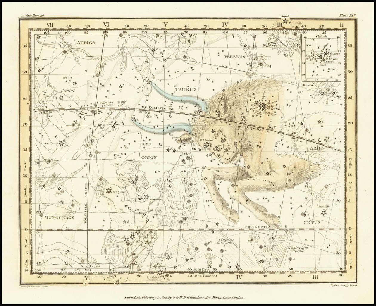 1822 - Alexander Jamieson - Tauro de Alexander Jamieson