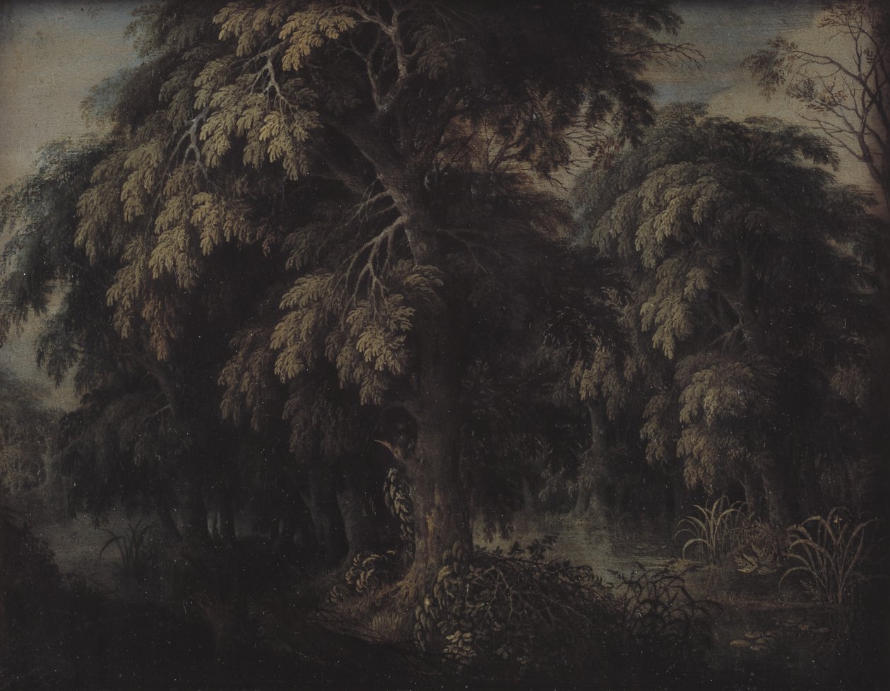 Paisaje boscoso de Alexander Keirincx