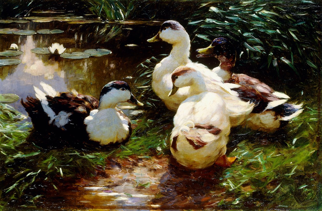 Patos en la orilla del río de Alexander Koester