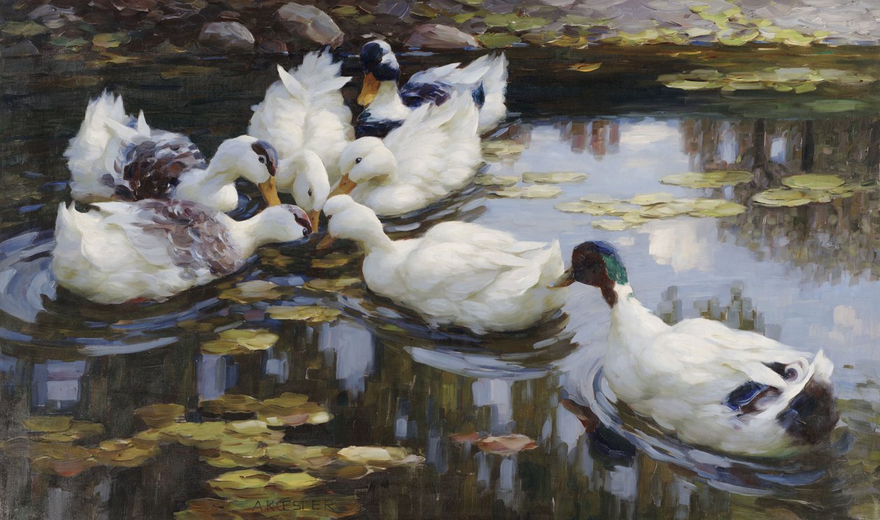 El estanque de los patos de Alexander Koester