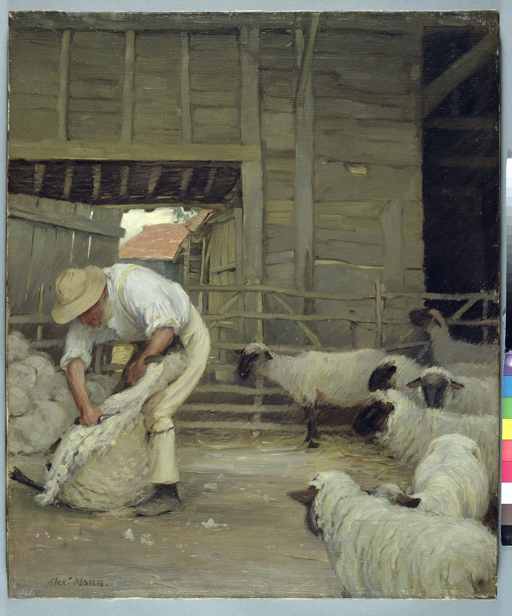 Esquila de ovejas de Alexander Mann