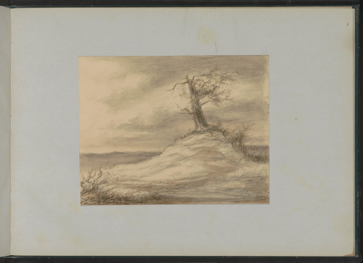 árbol en una colina de Alexander Ver Huell