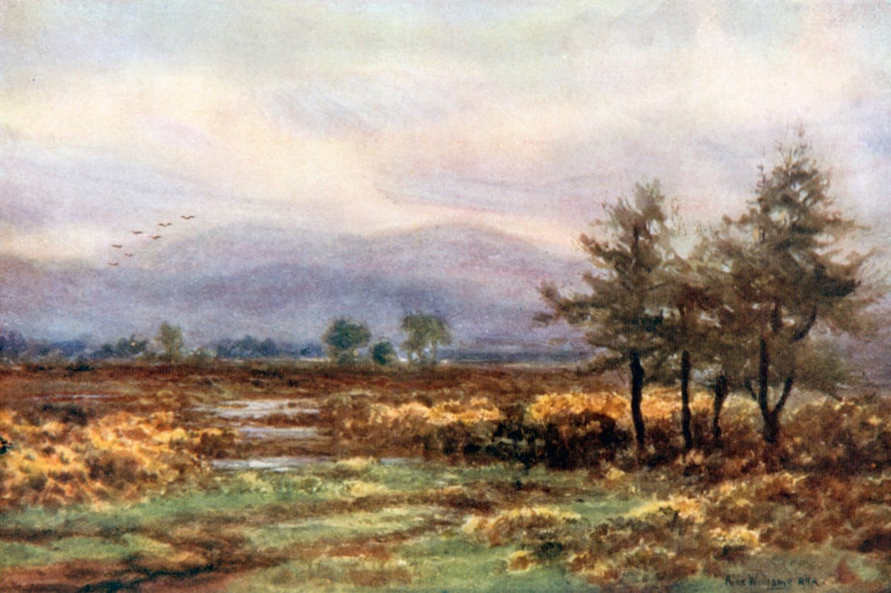  de Alexander Williams