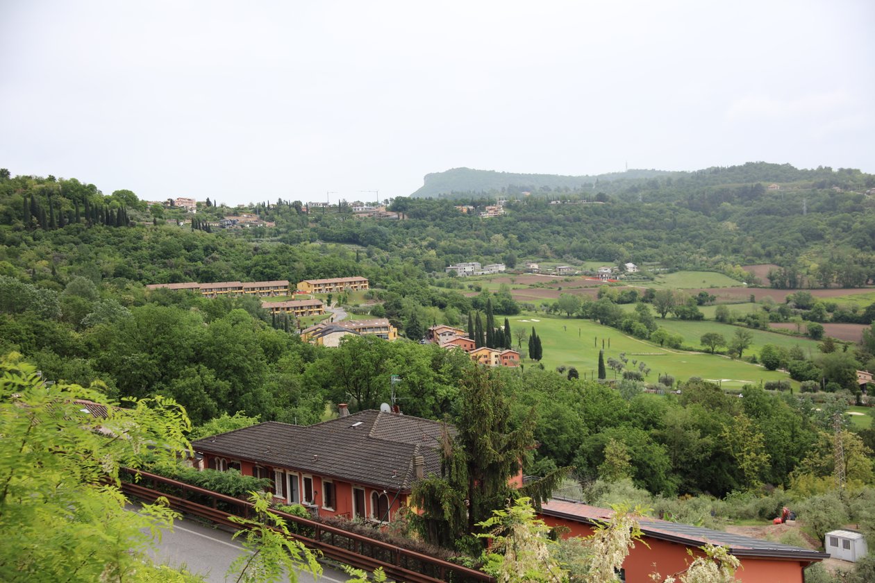 Paisaje de Alexandra Joseph