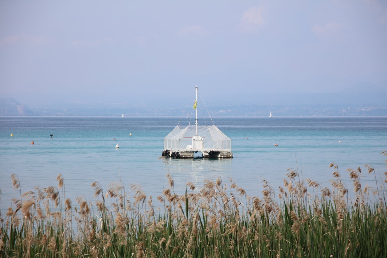 Tranquilidad junto al lago de Alexandra Joseph