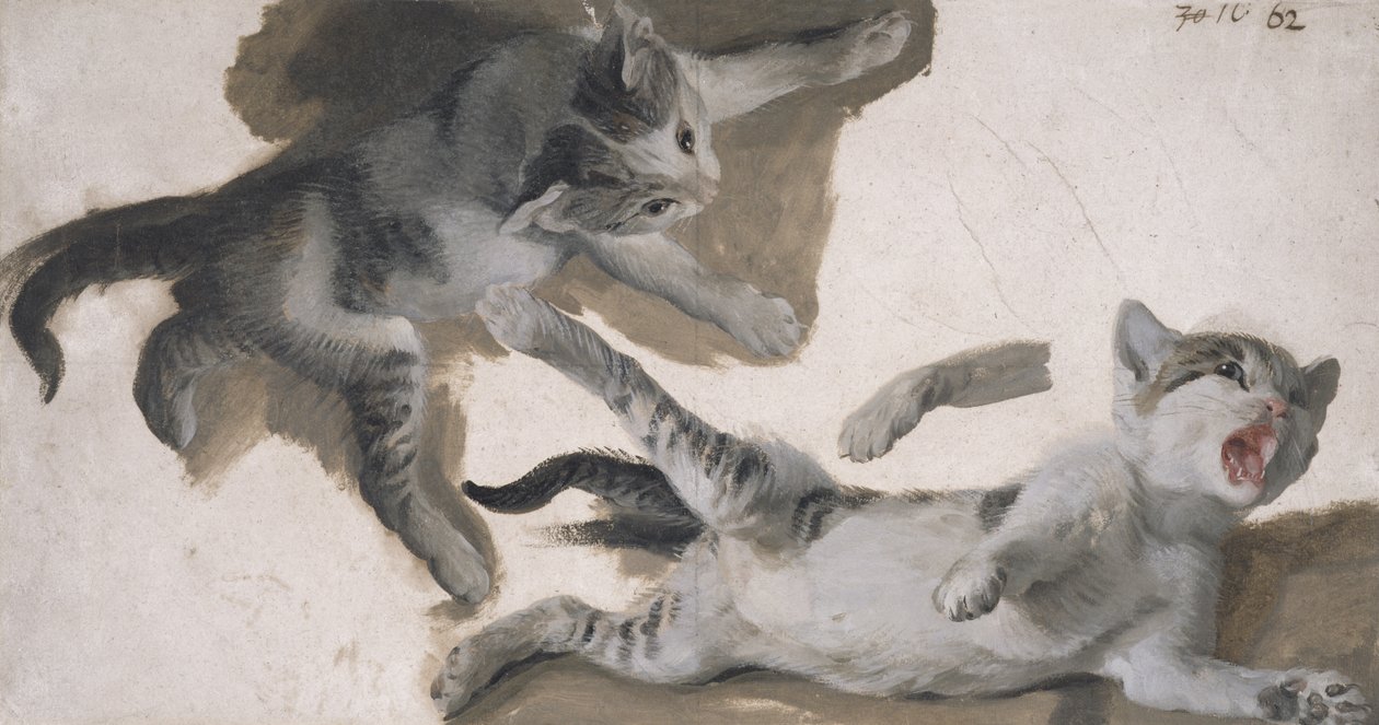Bocetos de un Gatito de Alexandre-Francois Desportes