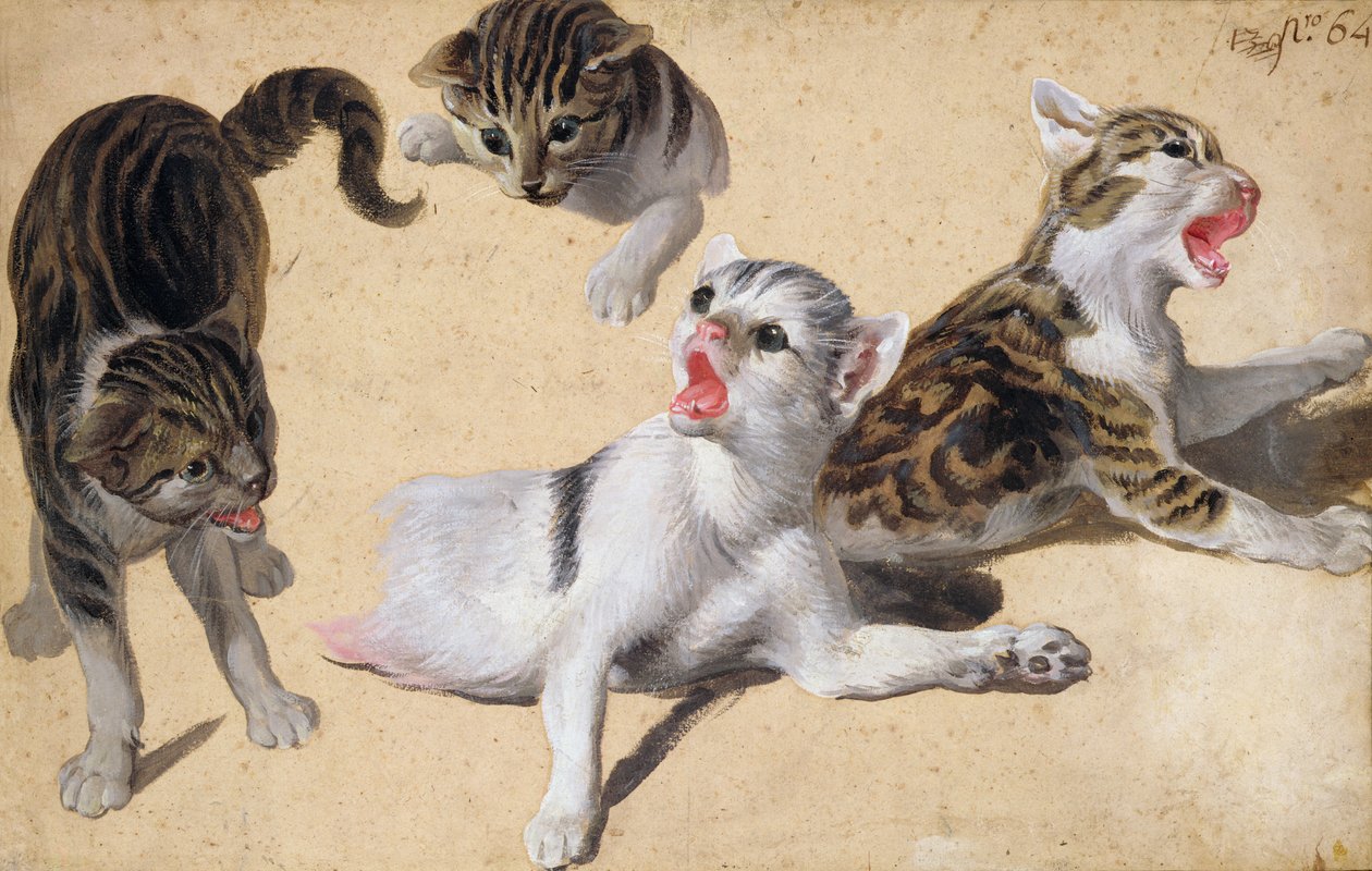 Cuatro Estudios de Gatitos de Alexandre Francois Desportes