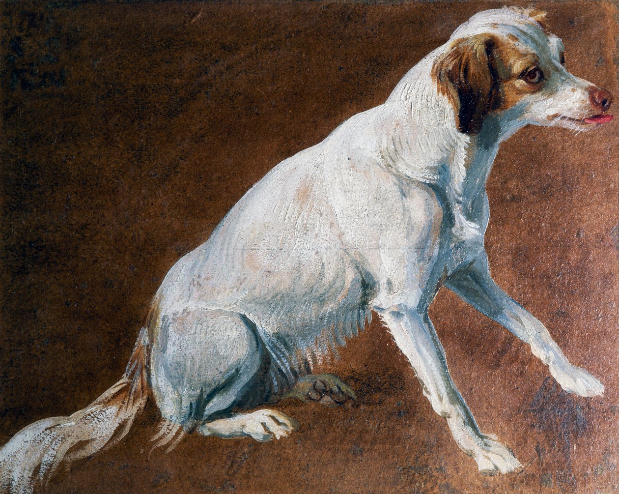 Ancestro del Spaniel francés, por Alexandre-Francois Desportes (1661-1743), Francia de Alexandre Francois Desportes