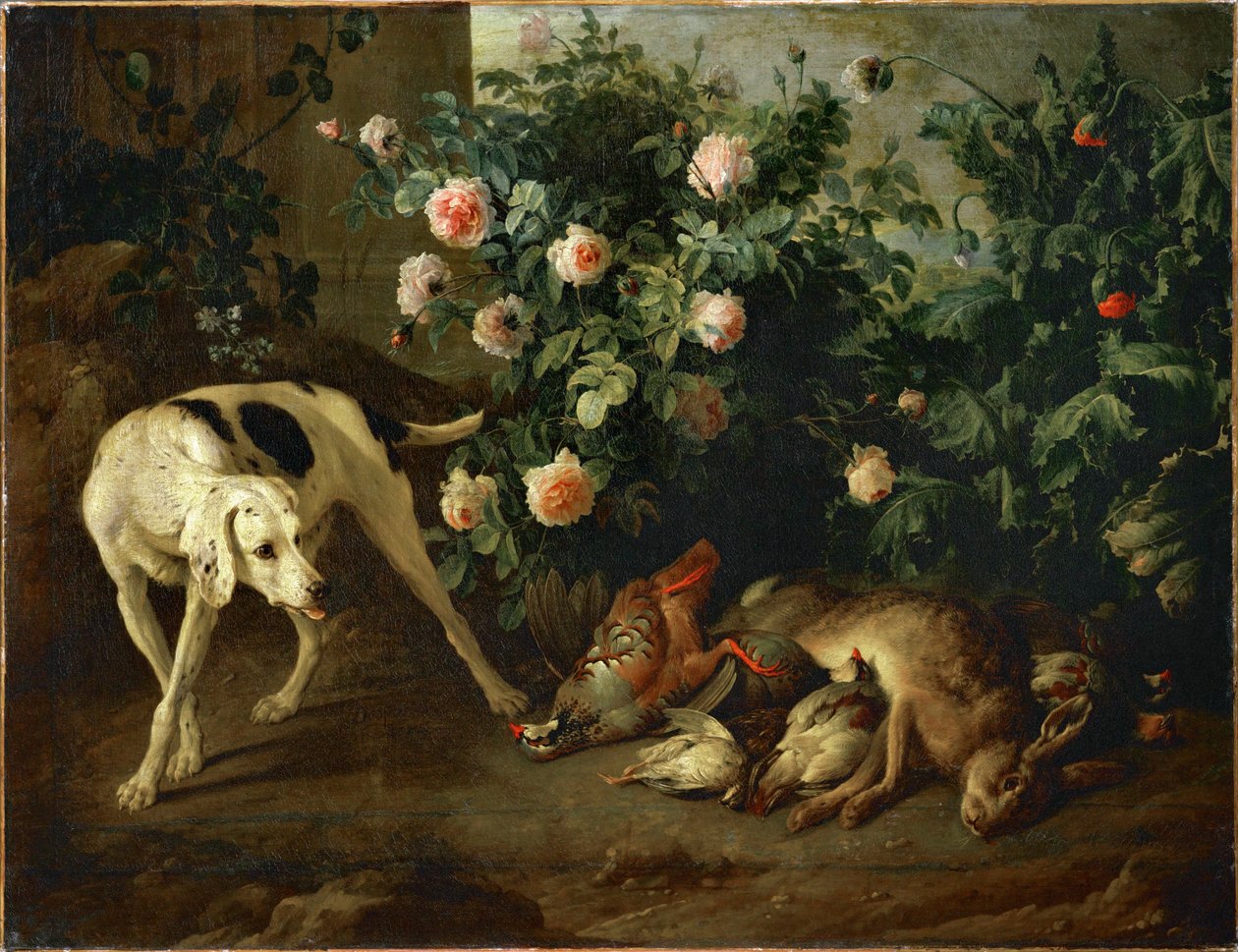 Dog guarding game near a rose bush - Chien gardant du gibier aupres d