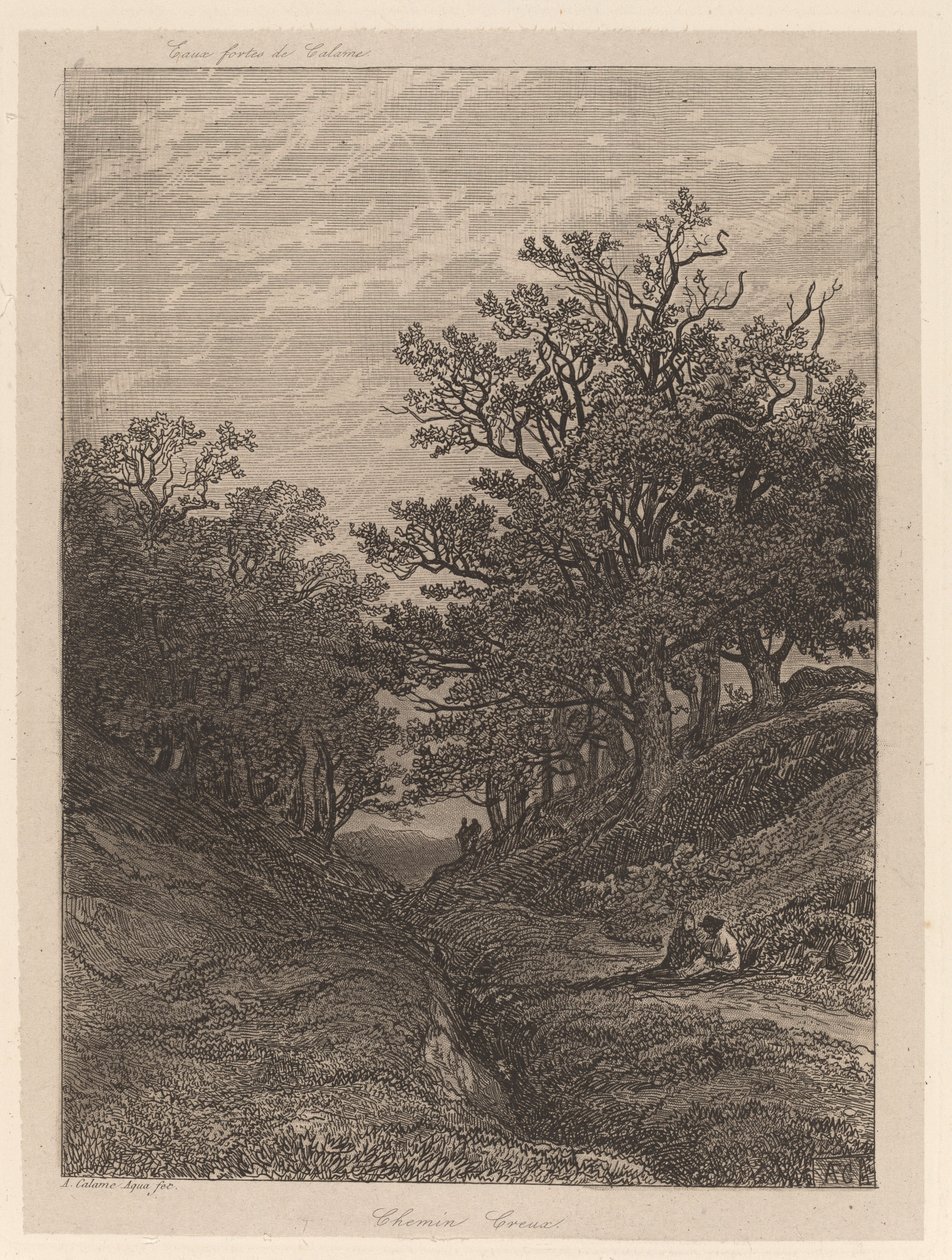Camino Hundido de Alexandre Calame