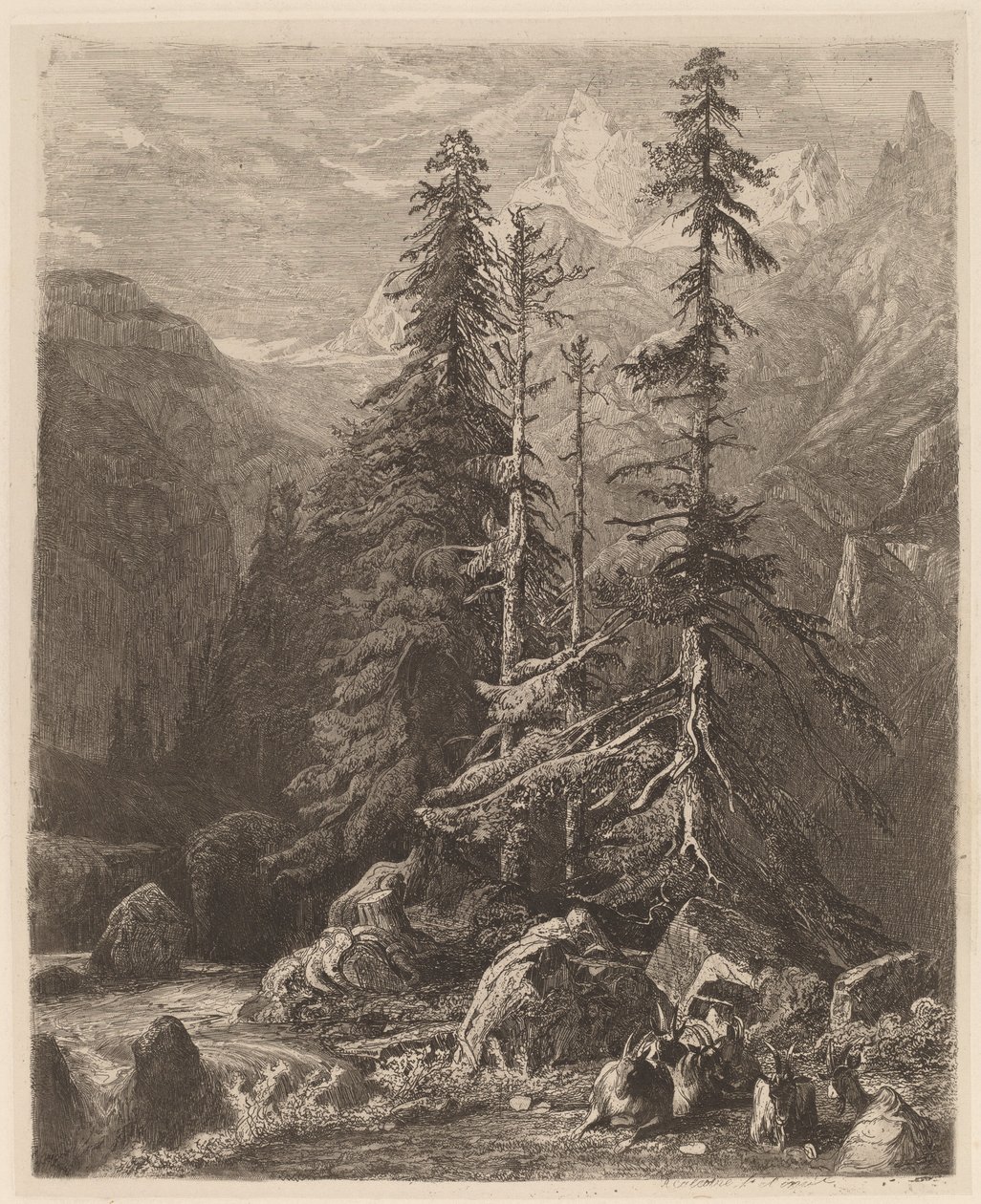 Ensayos de grabado al aguafuerte por Alexandre Calame, I, pl. 21 de Alexandre Calame