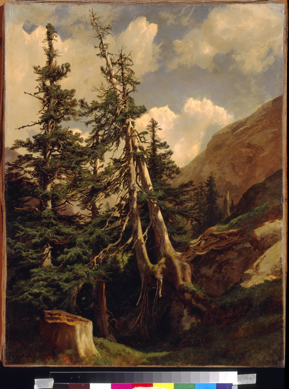 Abetos en las montañas por Calame, Alexandre (1810-1864) de Alexandre Calame