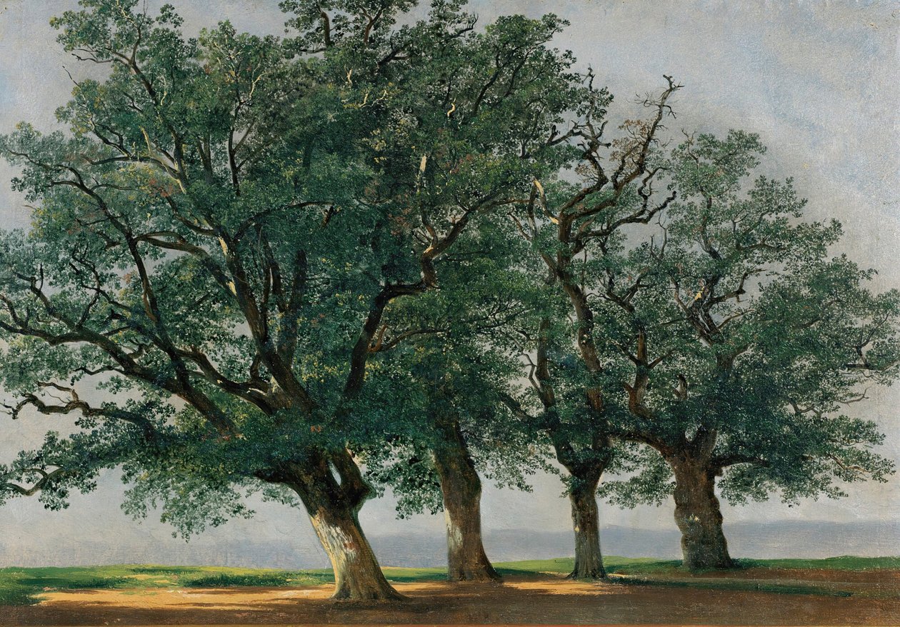Cuatro Árboles Grandes de Alexandre Calame