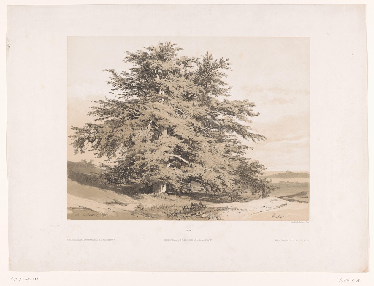 Paisaje con cedros
Cèdres (título en el objeto) de Alexandre Calame