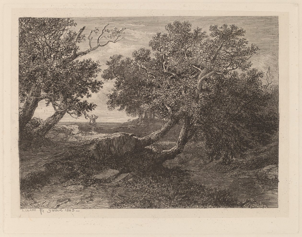 Arroyo con árboles colgantes de Alexandre Calame