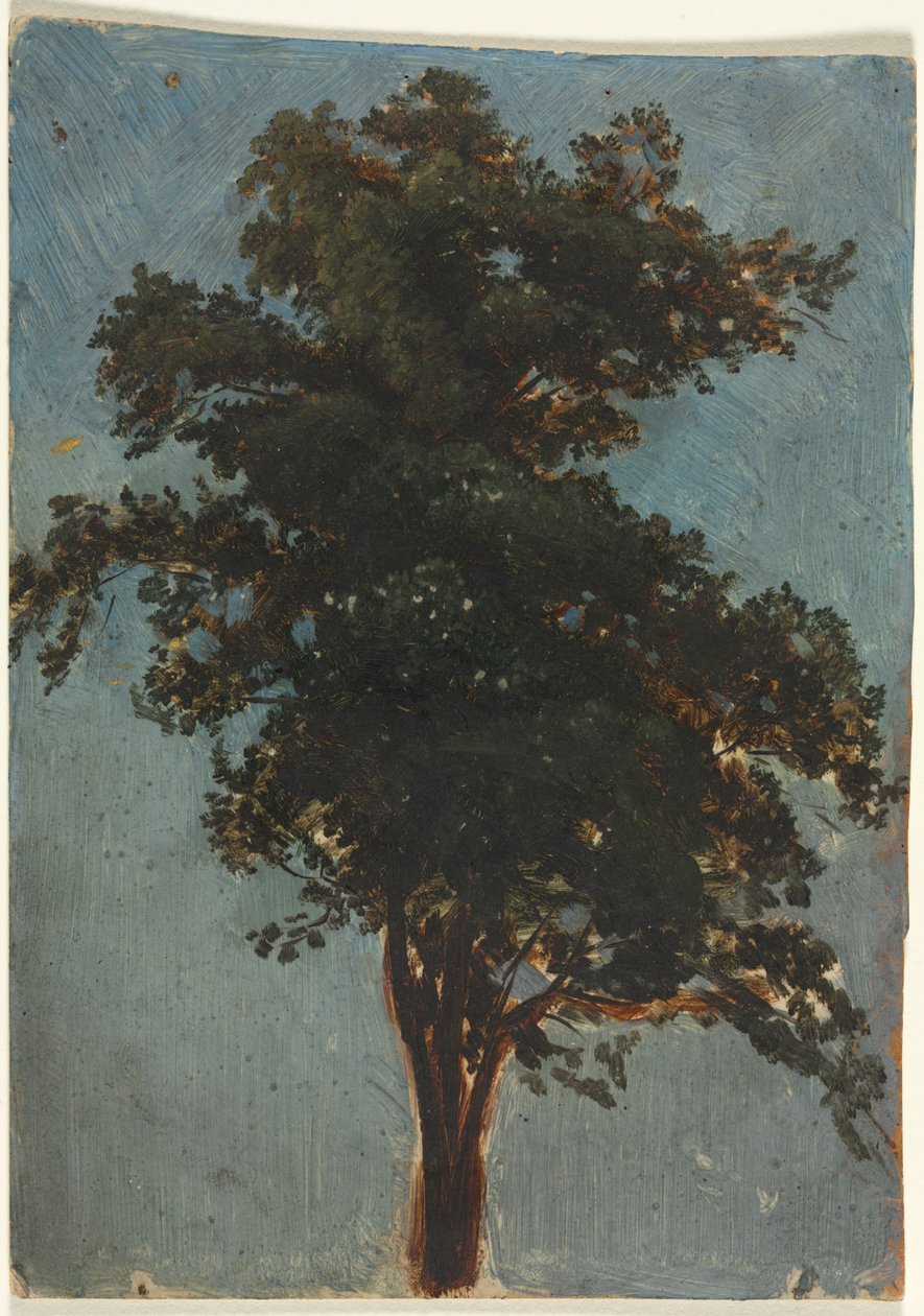 Estudio sobre los árboles de Alexandre Calame