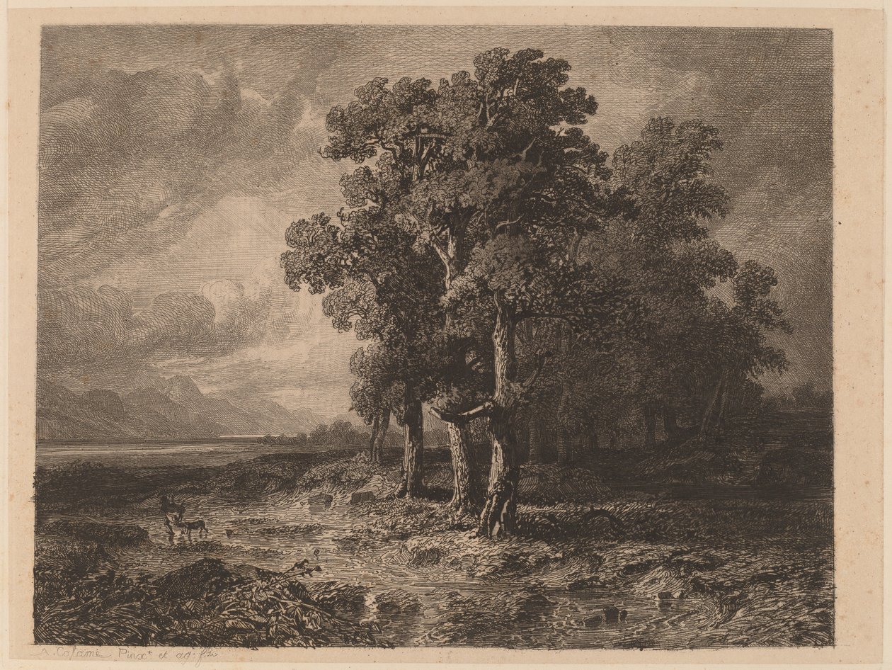 Árboles en una Tormenta de Alexandre Calame
