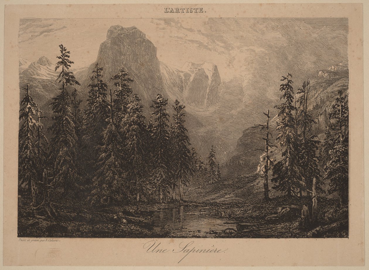 Un bosque de pinos de Alexandre Calame