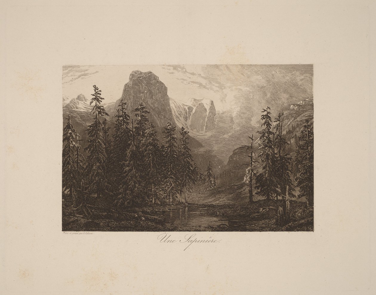 Un bosque de pinos de Alexandre Calame