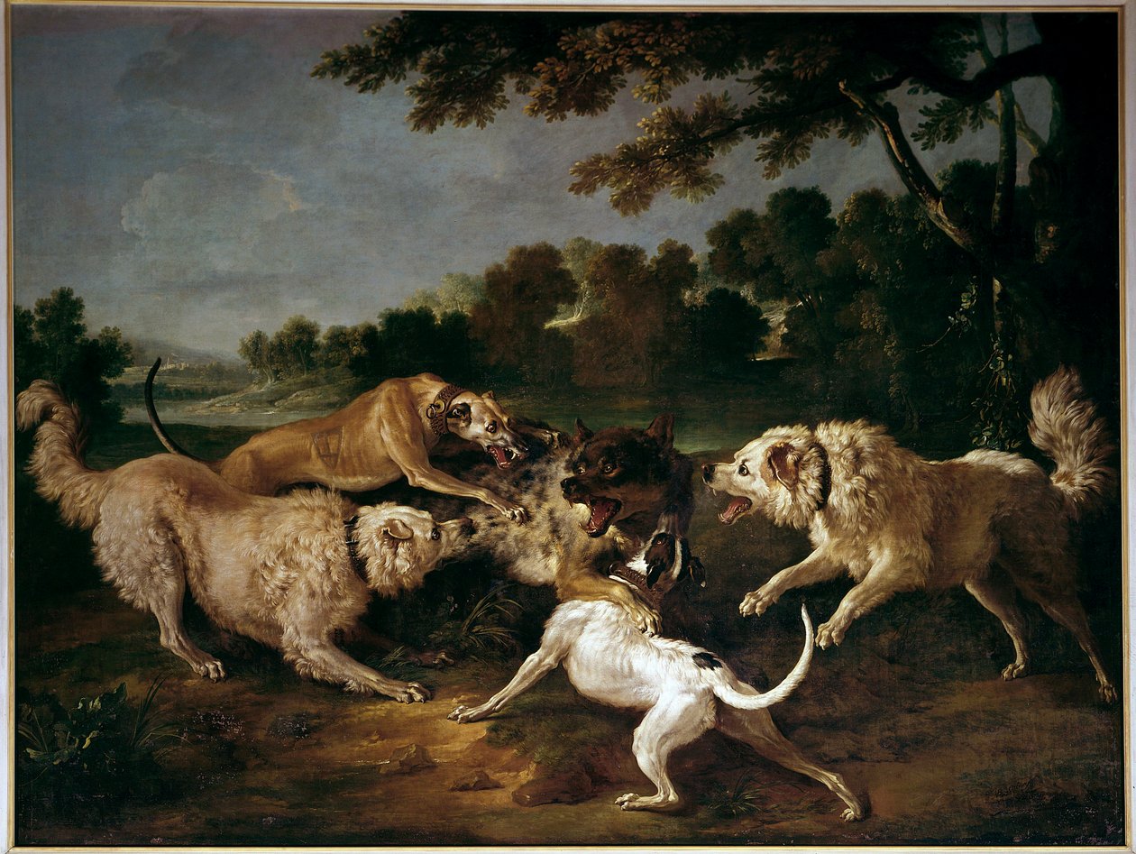 La caza del lobo de Alexandre Francois Desportes