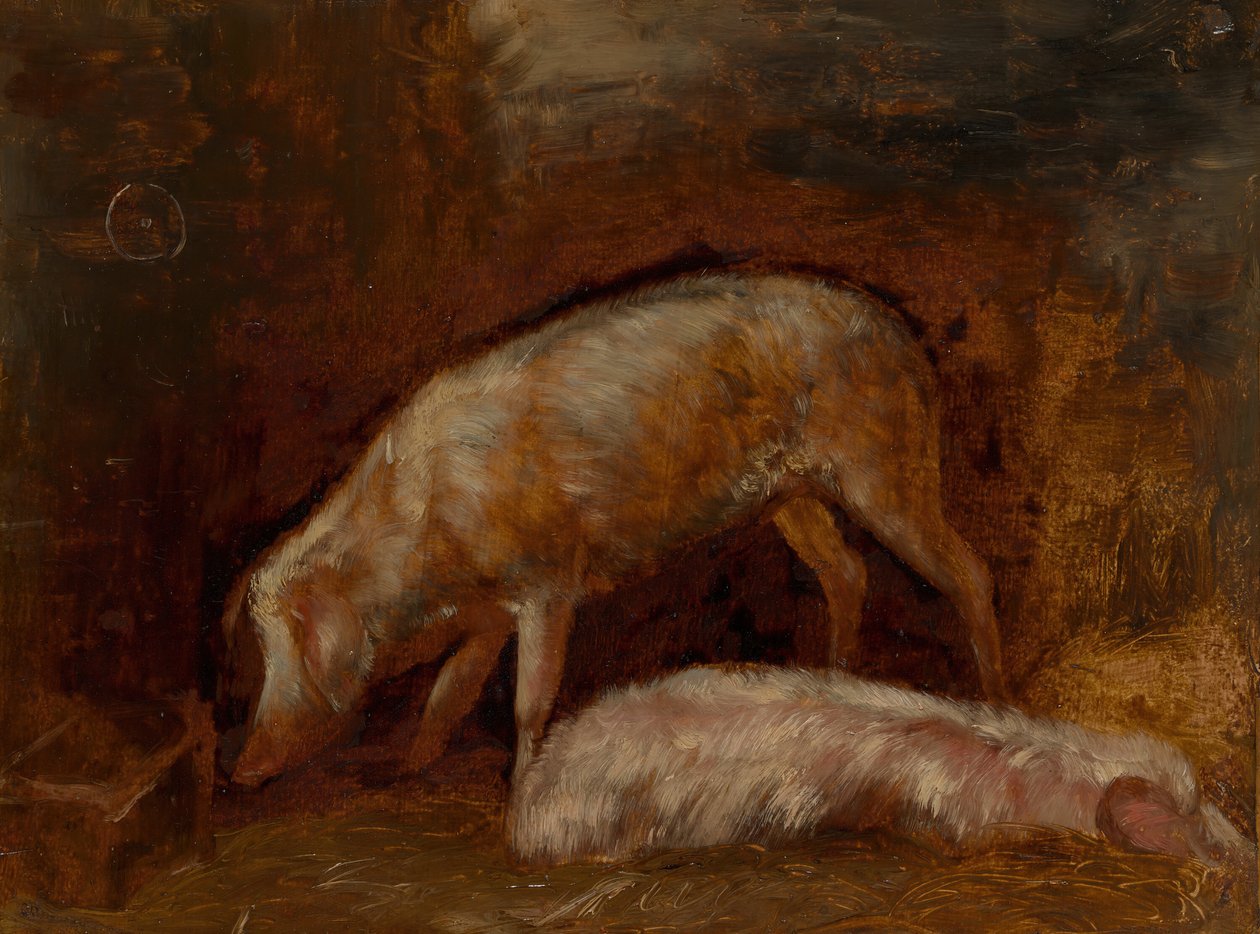 Estudio de cerdos, 1850-60 de Alexandre Gabriel Decamps