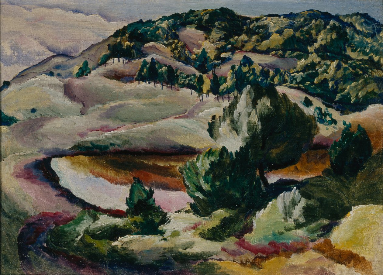 Korolkovskiye Dachas. Estanque en las colinas, 1918 de Alexei Ilyich Kravchenko