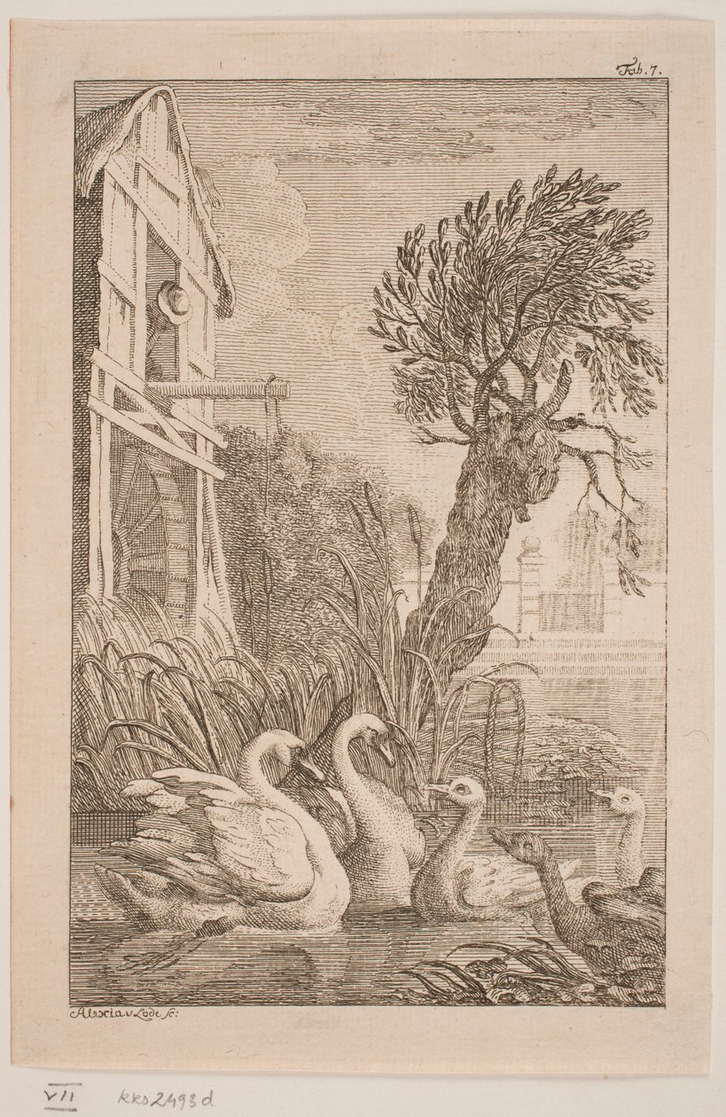 El ganso y el cisne de Alexia von Lode