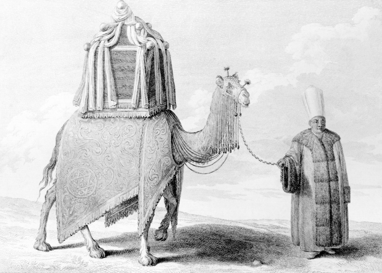 El camello sagrado de Alexis Alexandre Perignon
