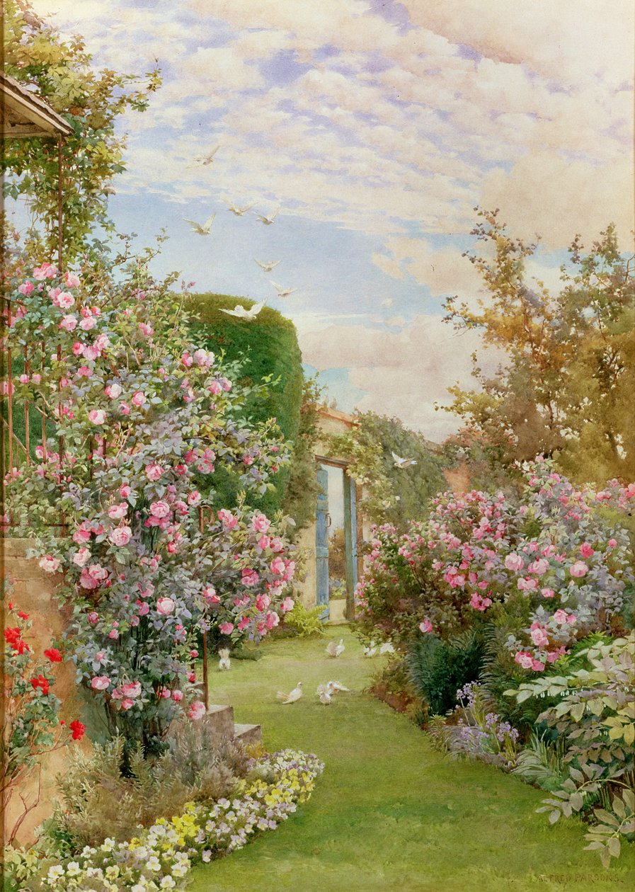 Rosas de China, Broadway de Alfred Parsons