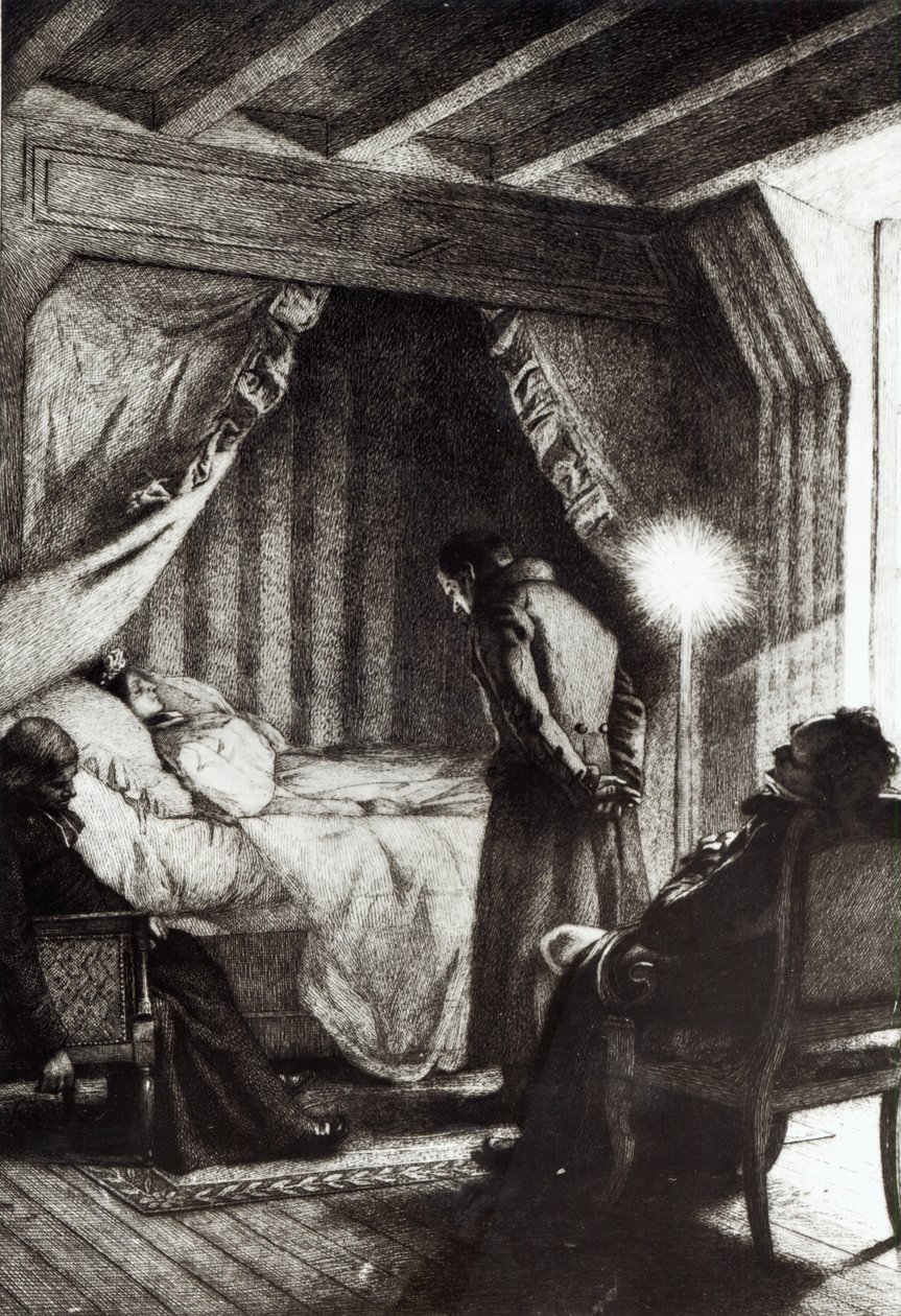 La muerte de Emma Bovary de 