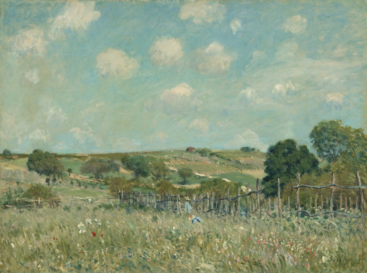 Pradera, 1875 de Alfred Sisley