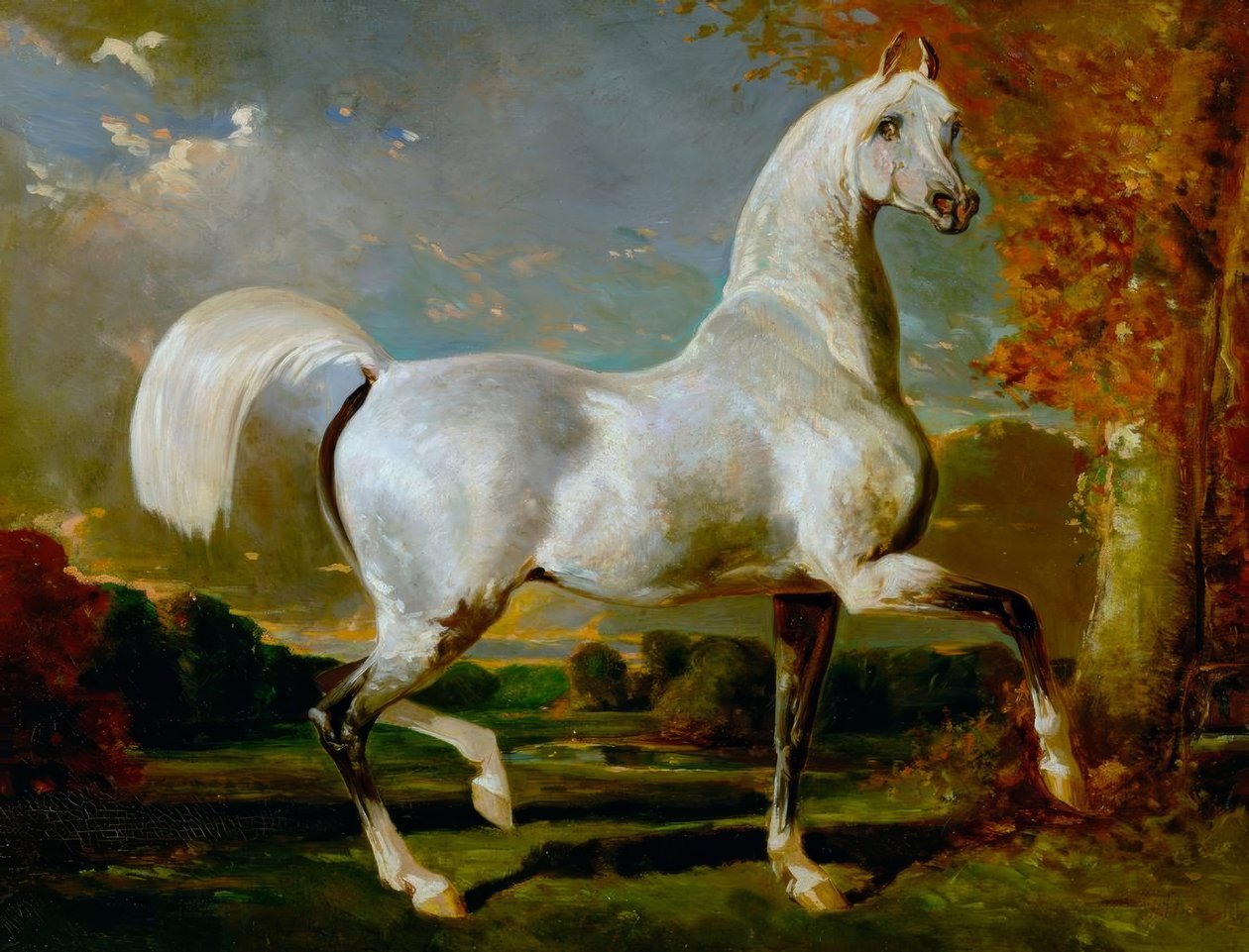 Caballo árabe de Alfred Dedreux