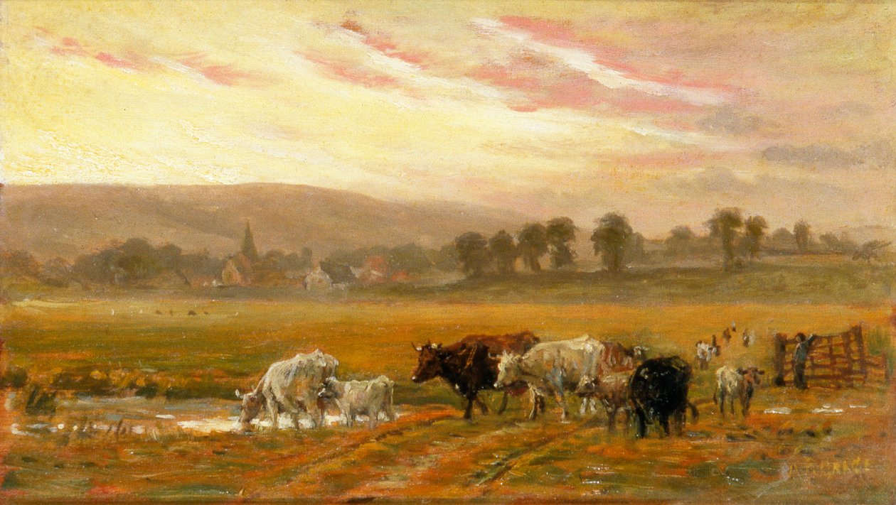 Atardecer cerca de Amberley (óleo sobre lienzo) de Alfred Fitzwalter Grace
