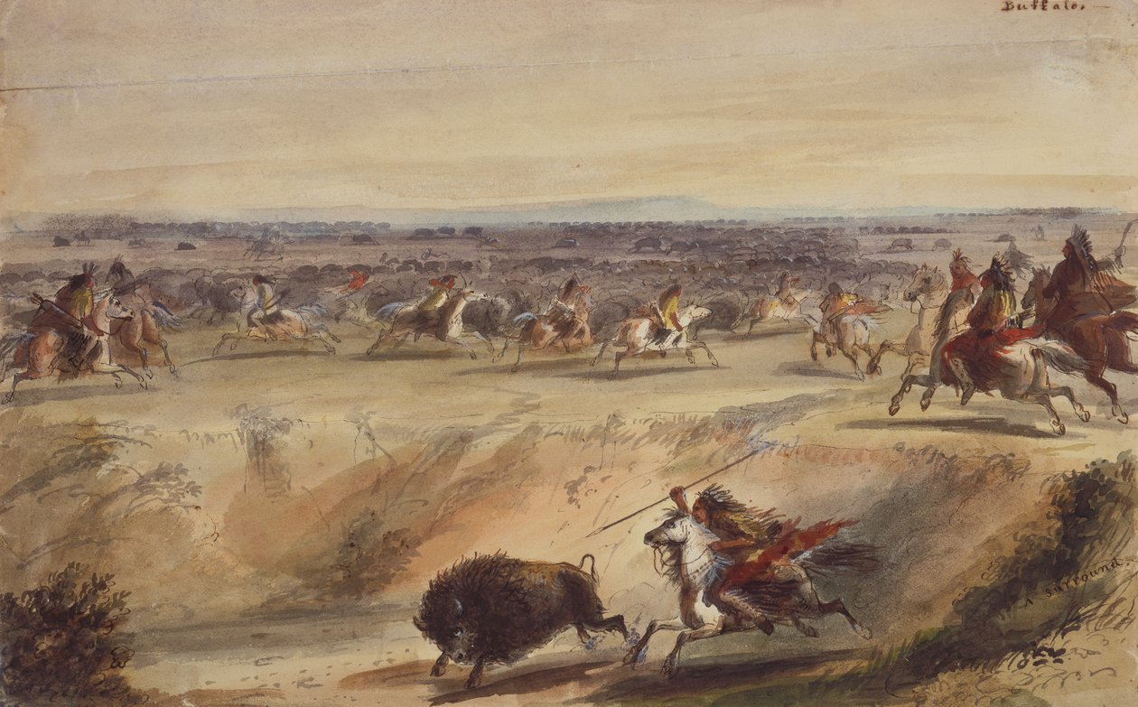 A Surround or Hunting the Buffalo, c.1839 (lápiz, pluma y tinta, acuarela y gouache sobre papel) de Alfred Jacob Miller