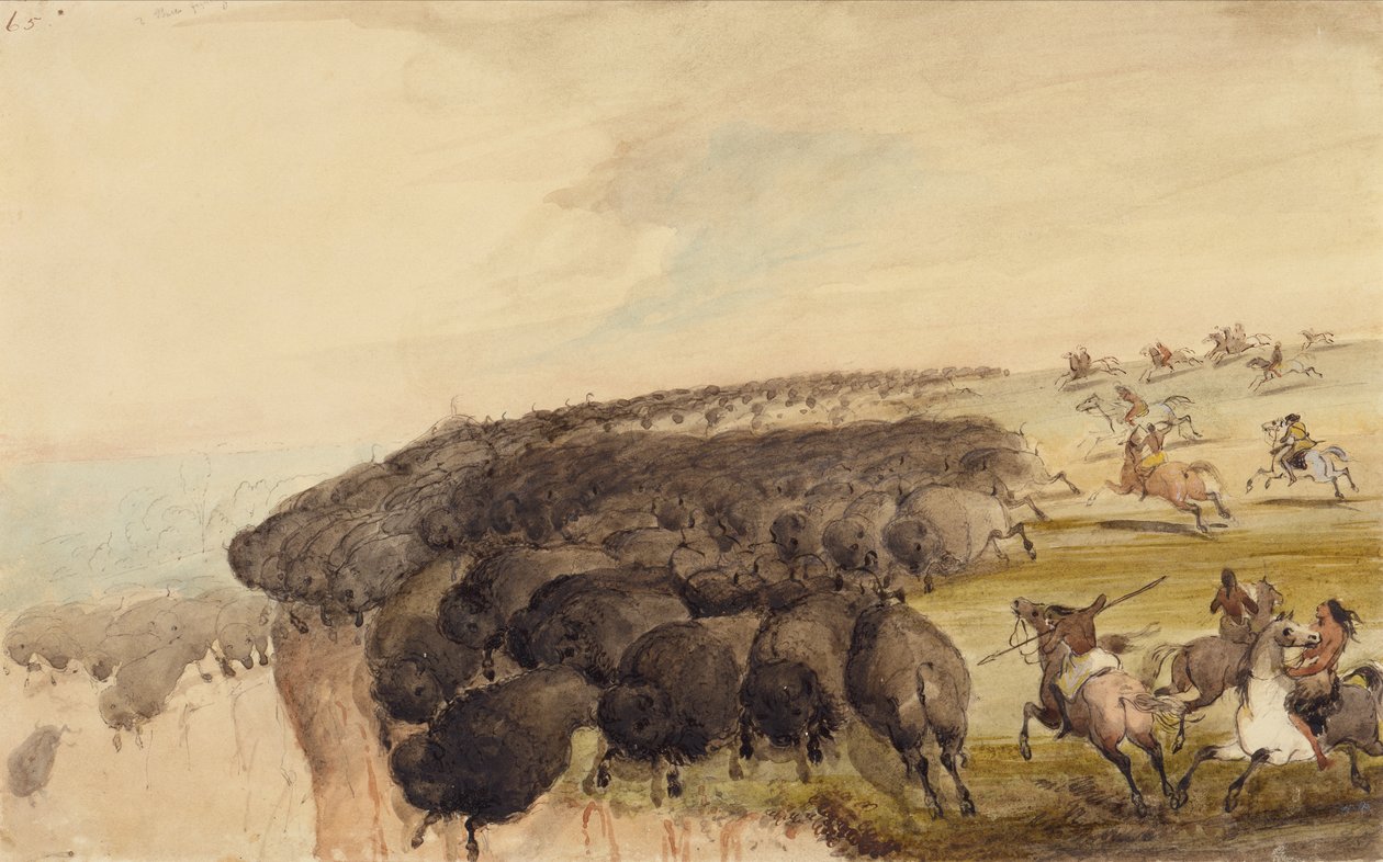 Conduciendo manadas de búfalos sobre un precipicio, c.1837 (lápiz, pluma y tinta y acuarela sobre papel) de Alfred Jacob Miller