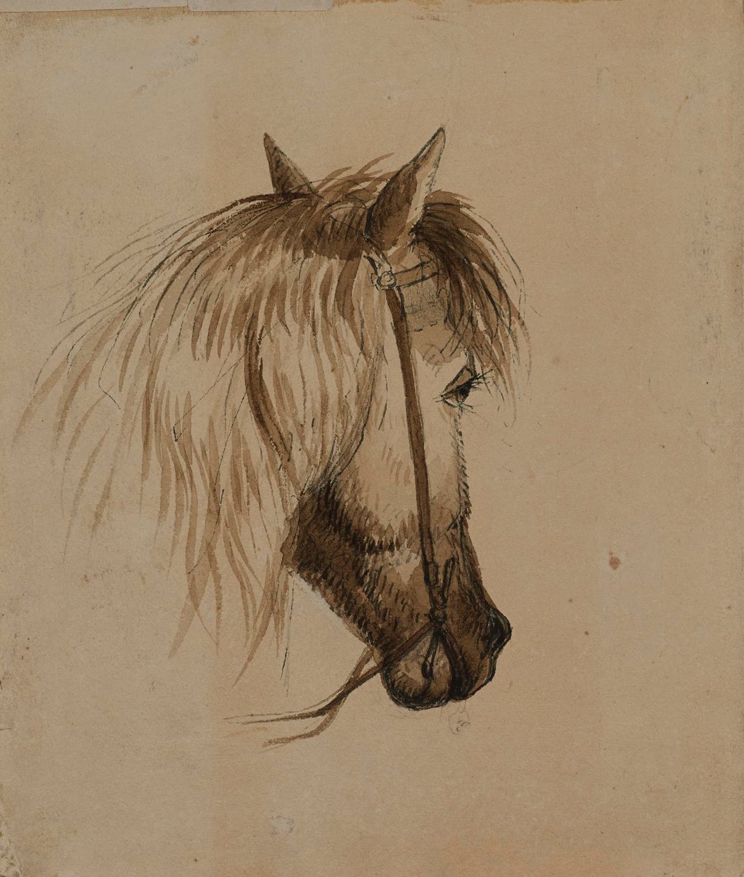 Cabeza de caballo de Alfred Jacob Miller