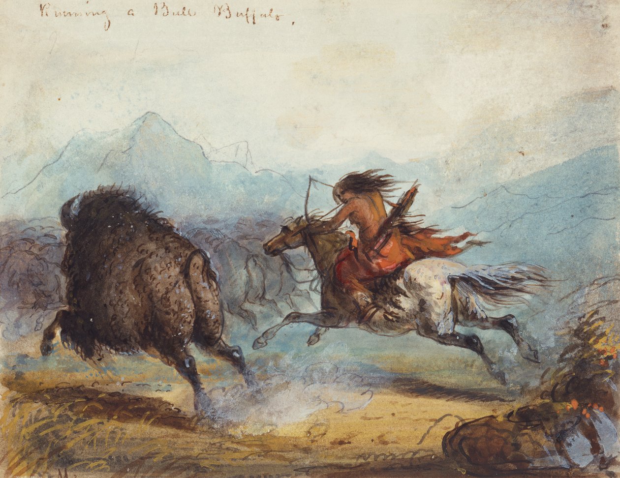 Mujer india corriendo un búfalo, c.1858-60 (acuarela sobre papel) de Alfred Jacob Miller