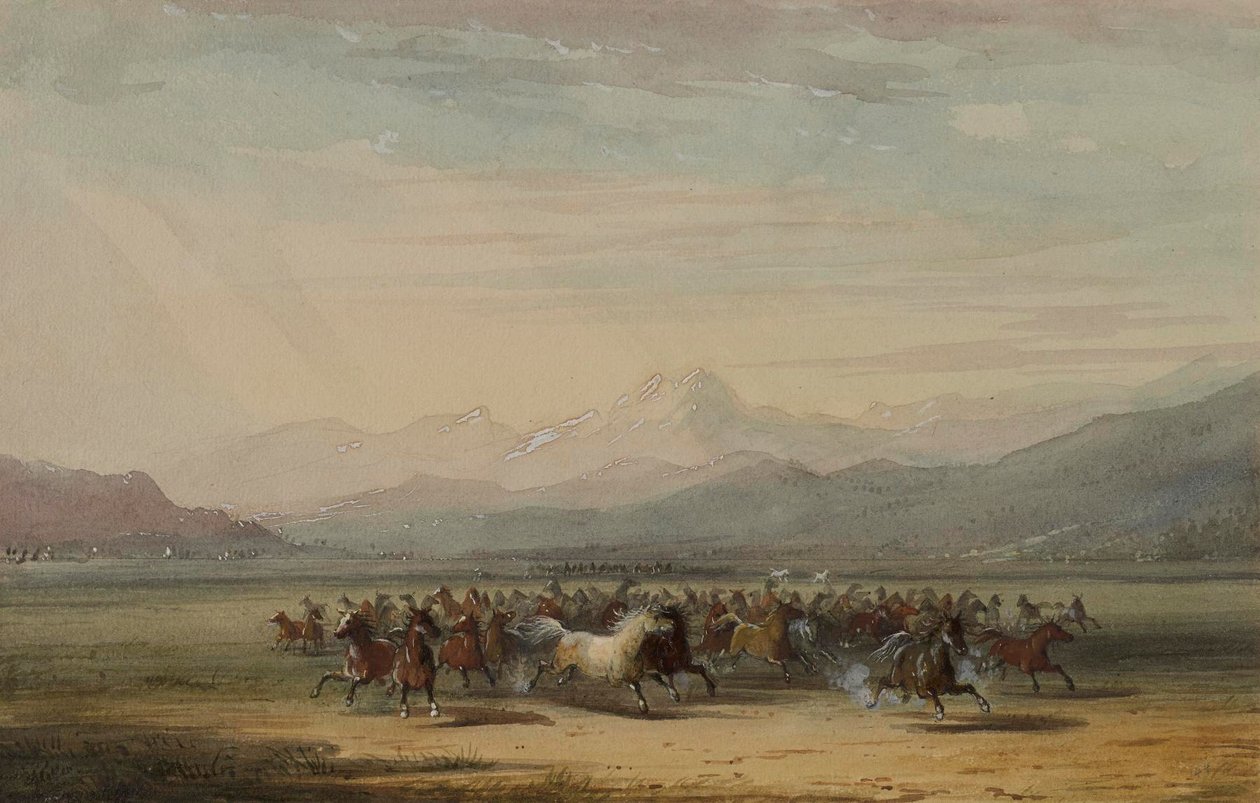 Estampida de caballos salvajes de Alfred Jacob Miller