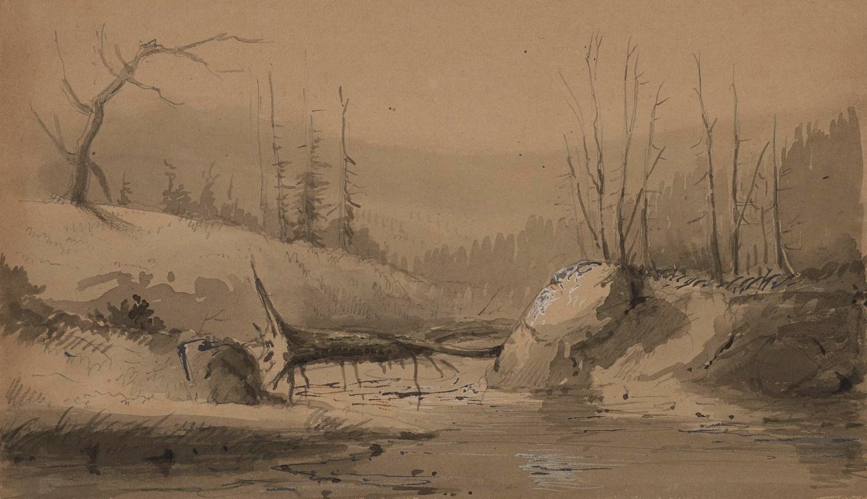 Arroyo junto a un árbol caído de Alfred Jacob Miller