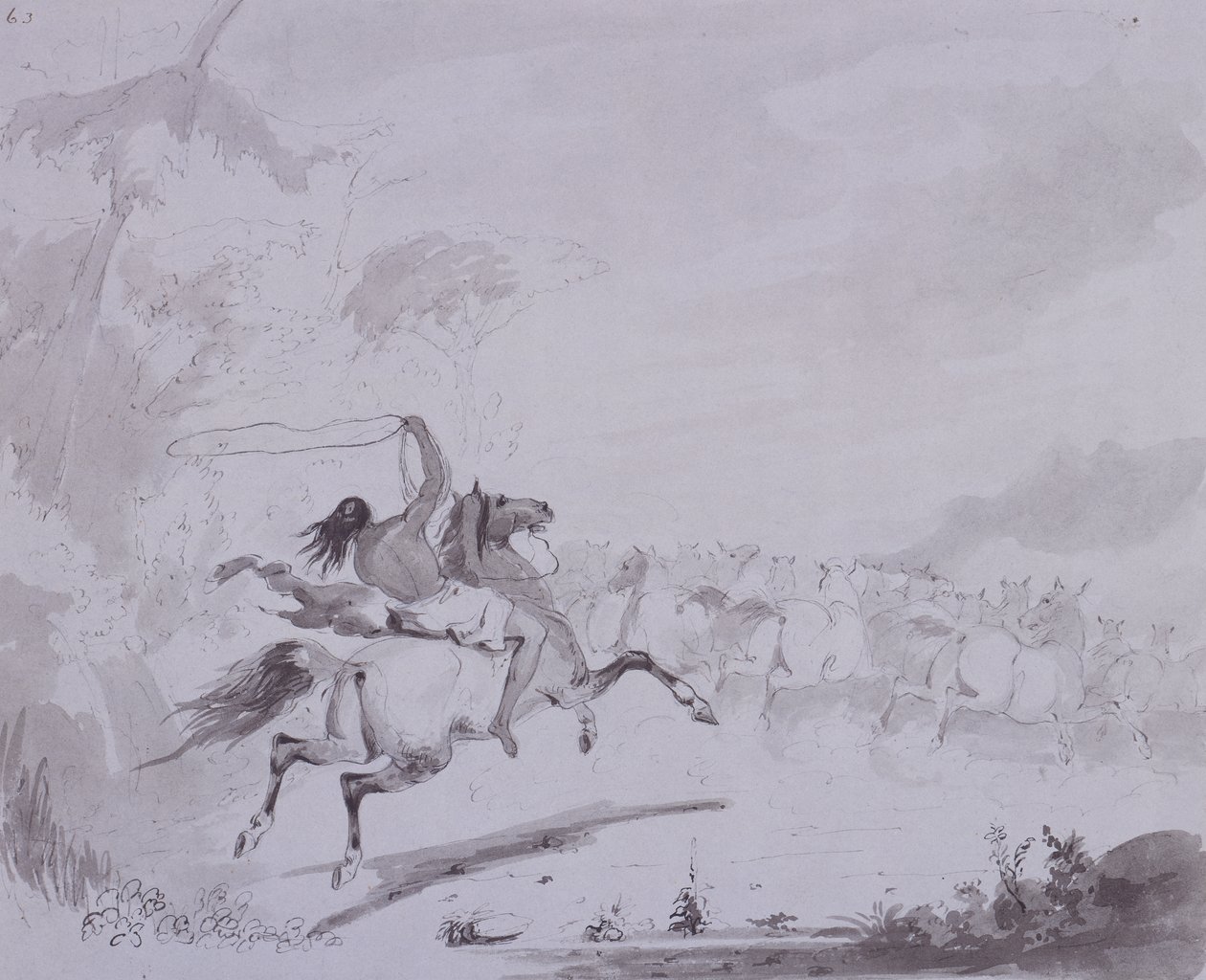 Lanzando el lazo, c.1837 de Alfred Jacob Miller