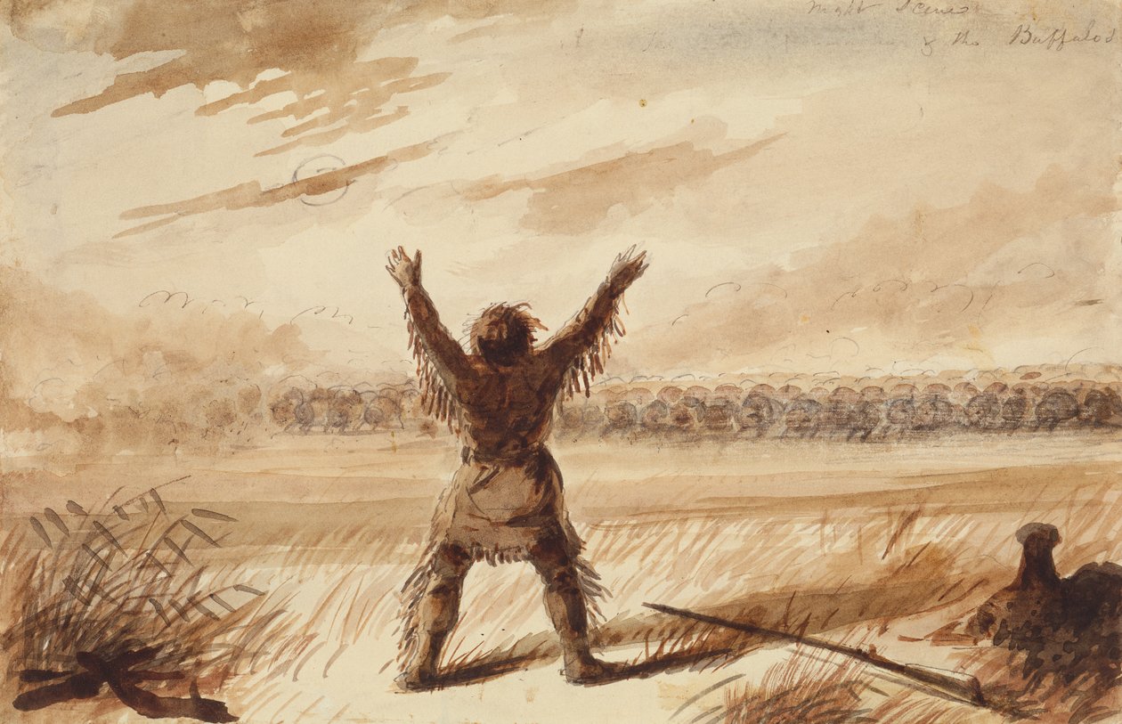 Trampero perturbado en reposo por una manada de búfalos, c.1837 (lápiz, pluma y tinta, y aguada sobre papel) de Alfred Jacob Miller